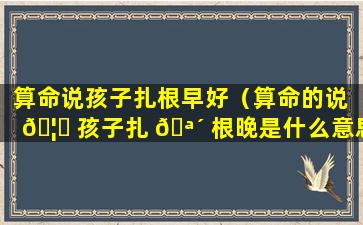 算命说孩子扎根早好（算命的说 🦋 孩子扎 🪴 根晚是什么意思）